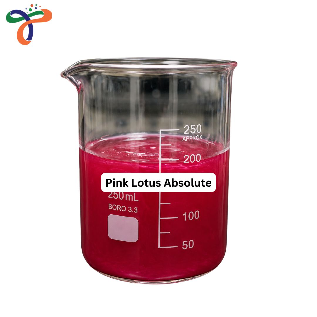 Pink Lotus Absolute